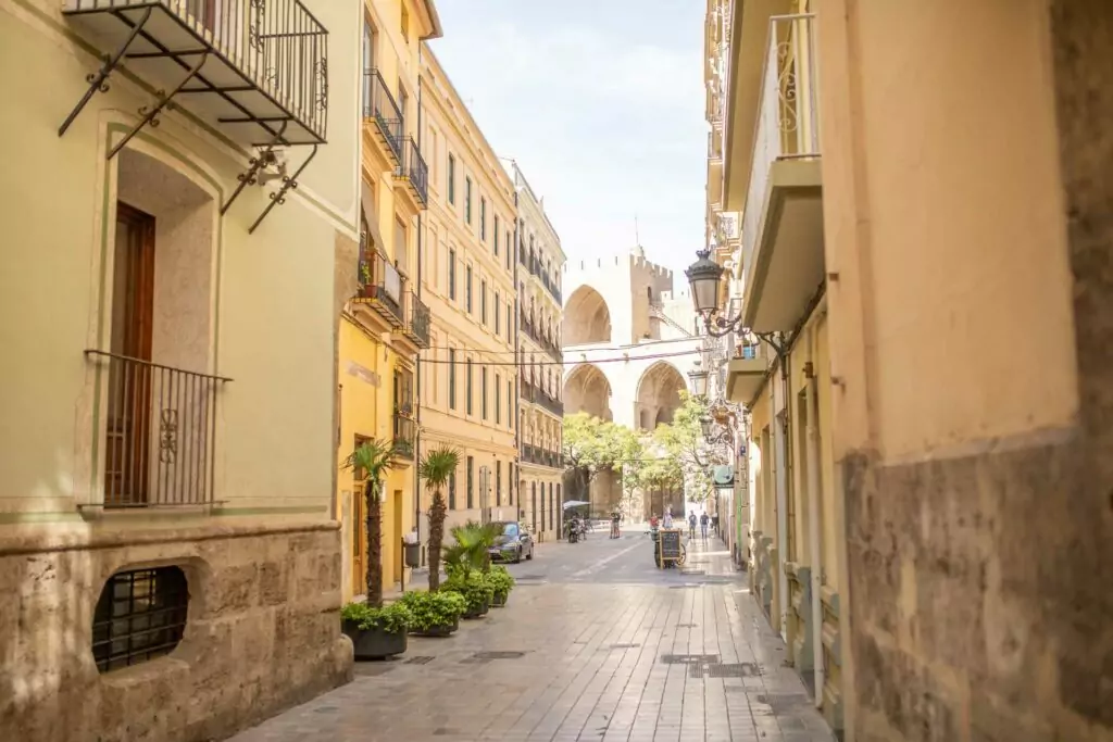 Real Estate Agent in Valencia