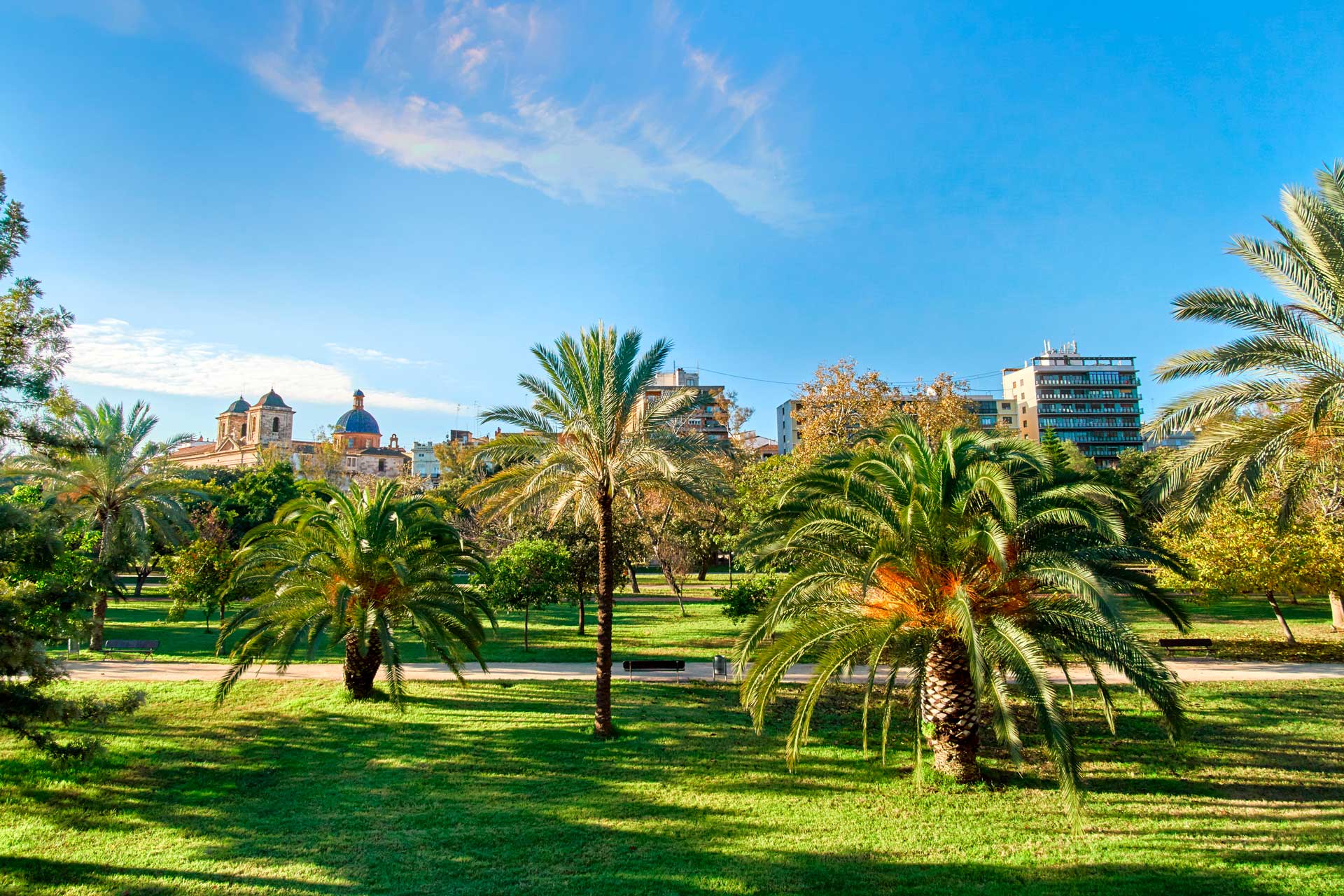 Moving to Valencia from Canada