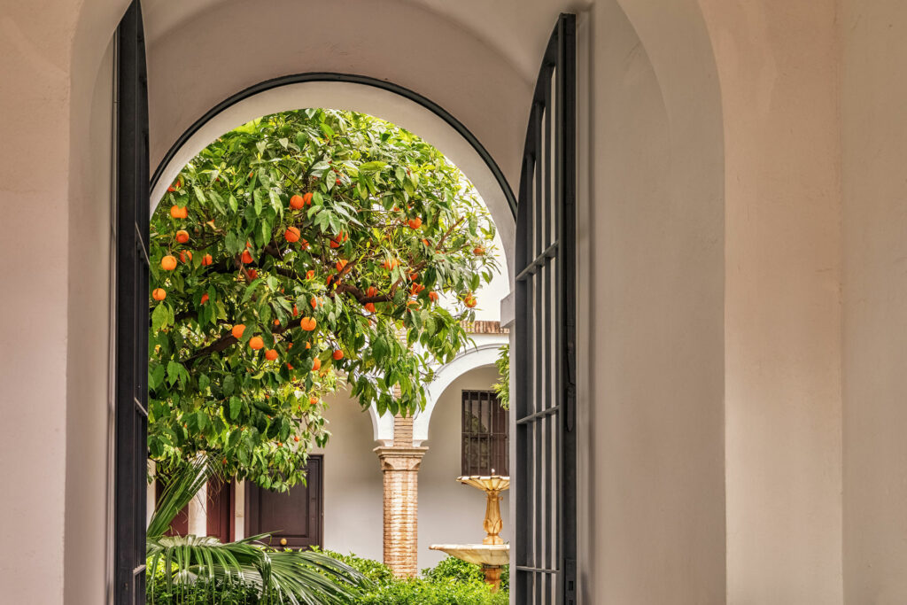 Livin'Valencia - Home Buying for Visa Residency in Spain