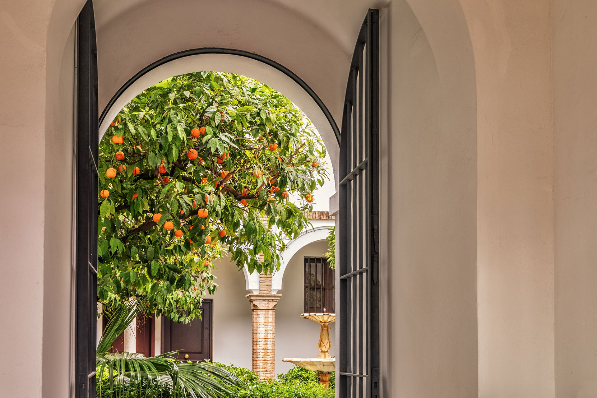 Livin'Valencia - Home Buying for Visa Residency in Spain