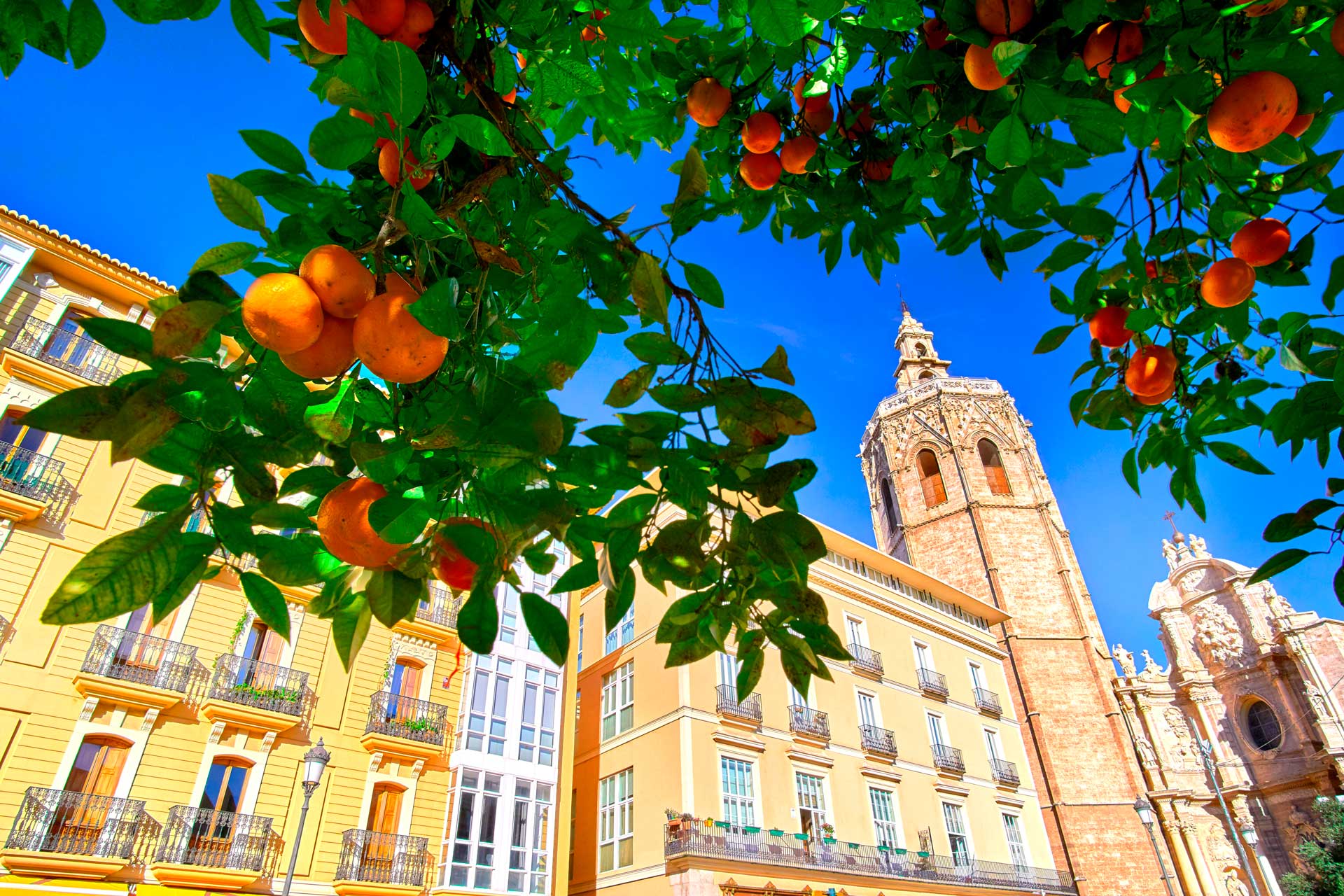 Livin'Valencia - Home Renting for Visa Residency in Spain