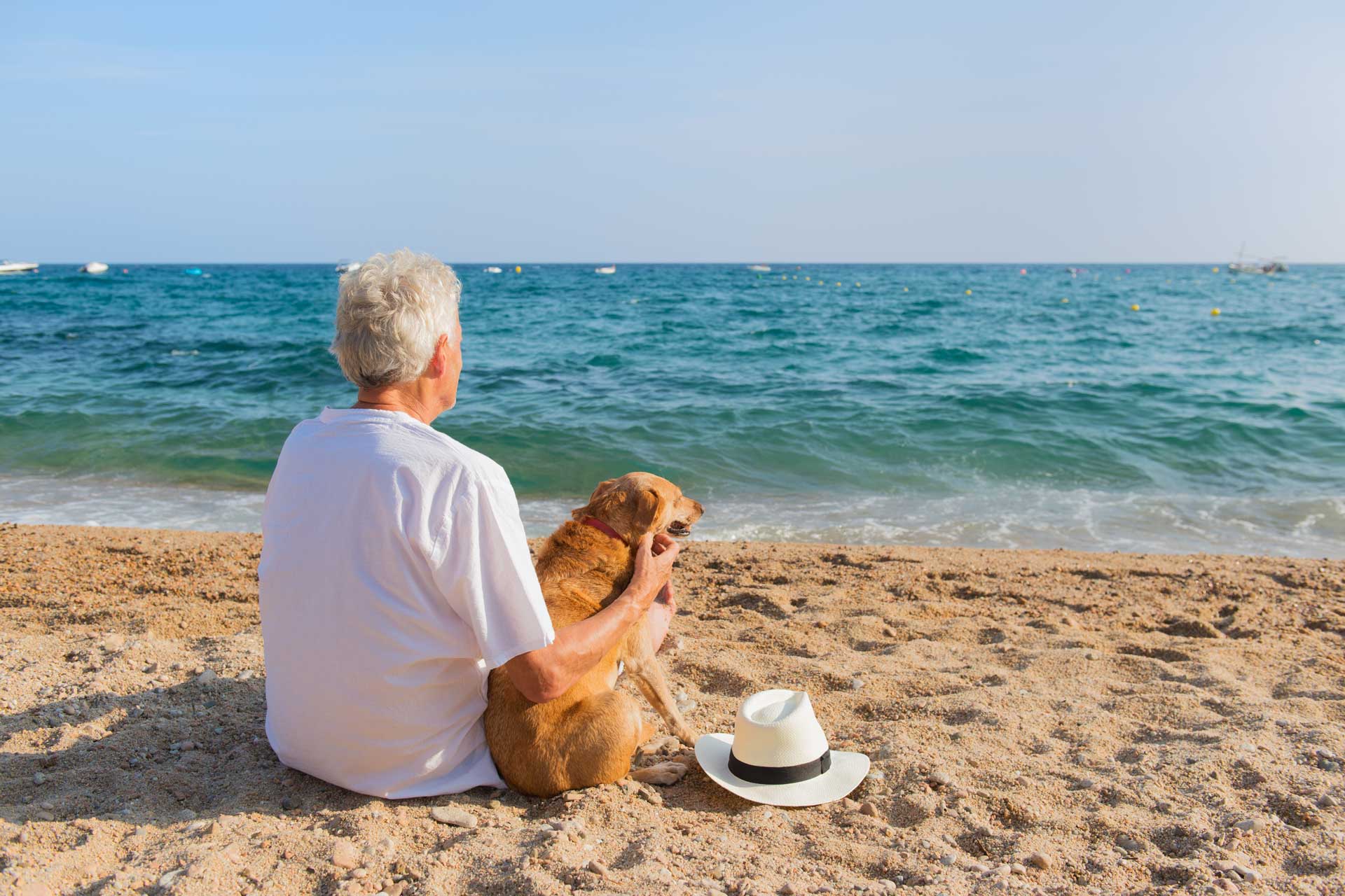 Livin'Valencia - FAQ Immigrate to Sapin with Pets