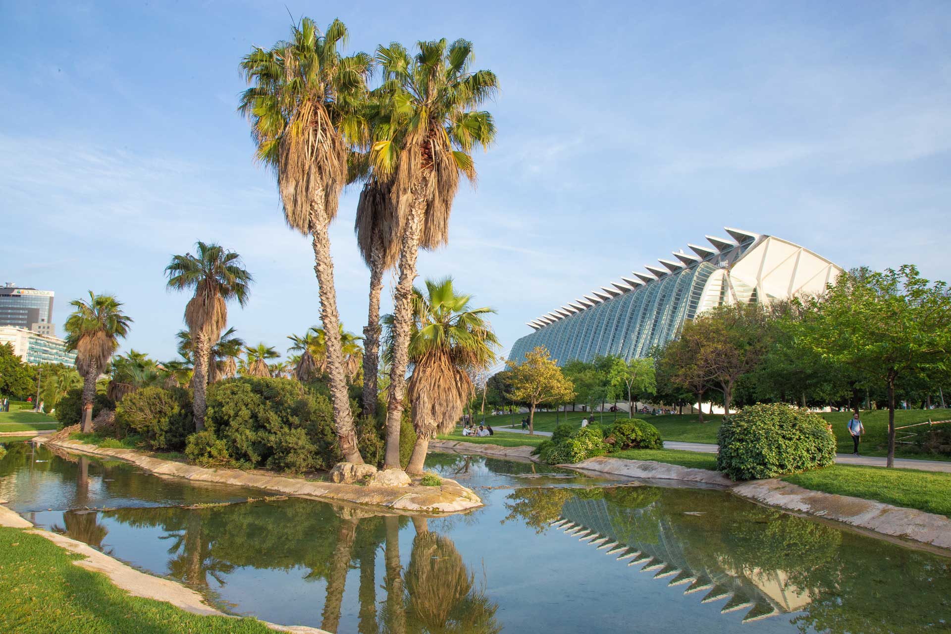 Livin'Valencia - Valencia relocation services