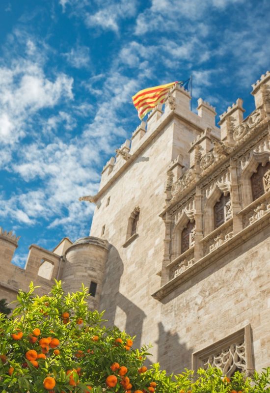 Livin'Valencia Real Estate Advisors in Valencia
