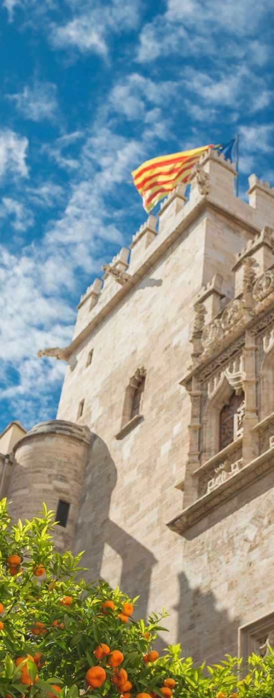 Livin'Valencia Real Estate Advisors in Valencia