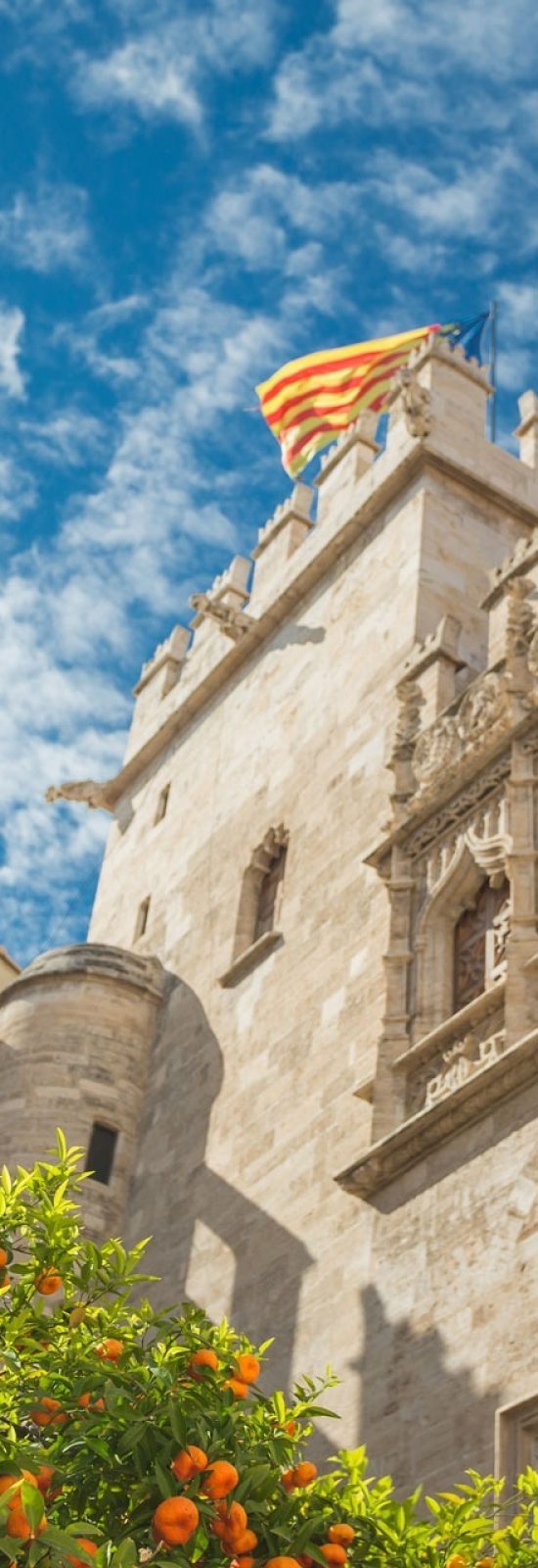 Livin'Valencia Real Estate Advisors in Valencia