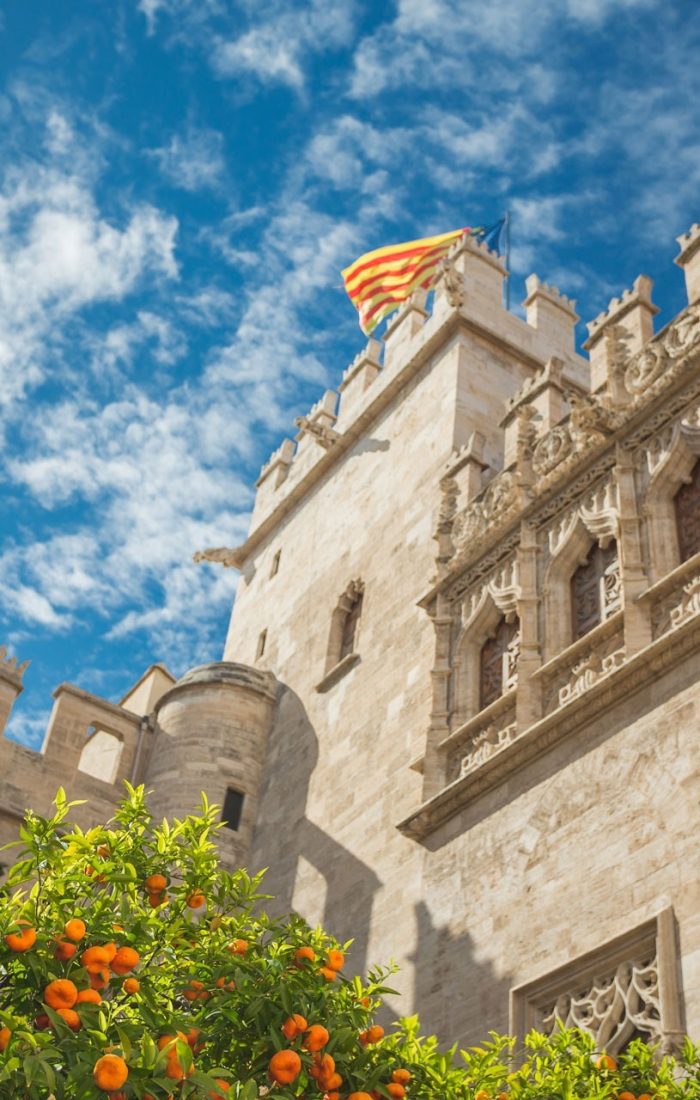 Livin'Valencia Real Estate Advisors in Valencia
