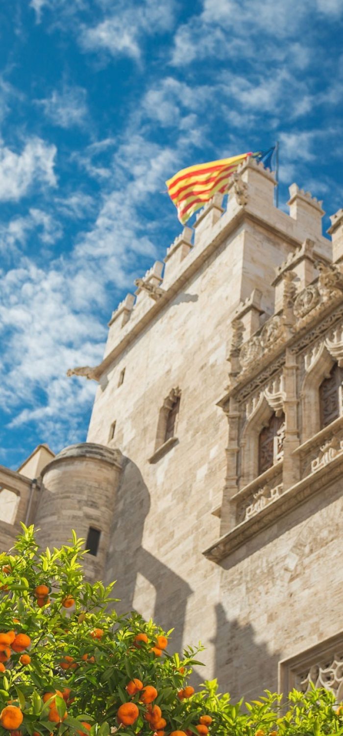 Livin'Valencia Real Estate Advisors in Valencia